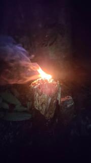 hospedaje Casa Jaguar - 2