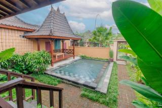 Precious Journey Retreat - Ubud - 5
