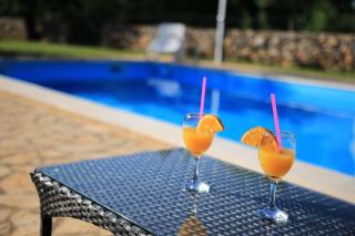 Agrotourism Galic Krka - Drinovci - 0