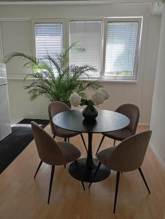 Apartment Aria 2 Sarajevo - Sarajevo - 1
