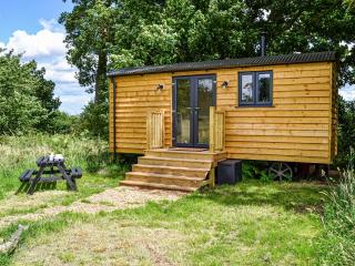 Chestnut - Ukc4848 - Cantley - 0