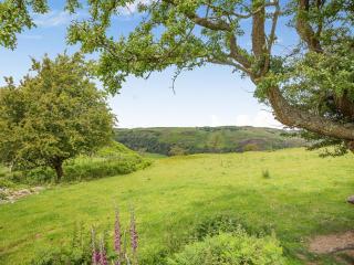 Pyllau Gleision - Abergele - 9