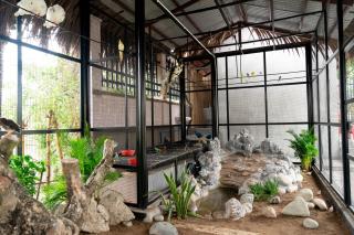 Le Palmier Long An Boutique Resort - Free Outdoor Cinema - Ấp Kế Mỹ - 5