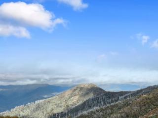 SKI View 4 - 2
