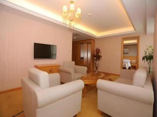 Vienna Hotel Chengdu Chunxi Road Lijiatuo Metro Station - Chengdu - 2