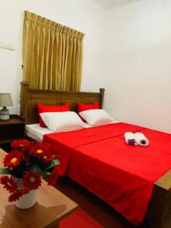 Silvan Villa - Nikawatawana - 4