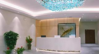 GreenTree Inn Express Guangxi Nanning Mingyang Avenue Nanning Airport - Nanning - 1