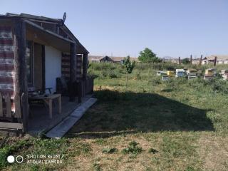 Honey home - Chʼkalovka - 4