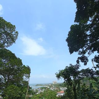 Dil Mountain Villa - 5