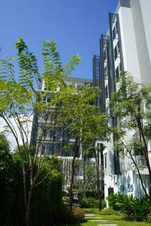 Spacious 1-Bedroom Apt with Great Location Near Nimman #A506 - Chiang Mai - 7