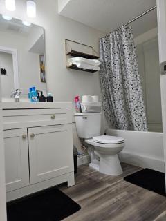 Stylish, Fully furnished Brand-New suite - Regina - 5