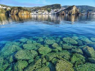 Ponza Holiday Homes - Santa Maria - 1
