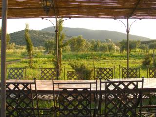 La Pulledraia Del Podere Montegrappa - Alberese - 8