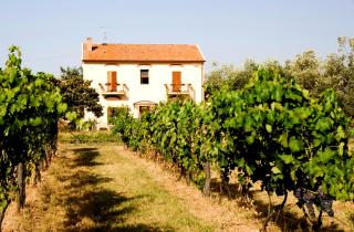 La Pulledraia Del Podere Montegrappa - Alberese - 4