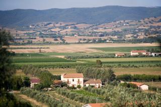 La Pulledraia Del Podere Montegrappa - Alberese - 3