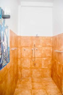 The Coconut tree villa - 9