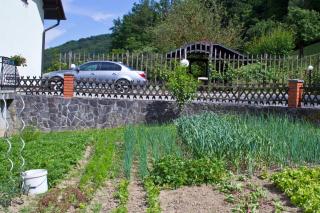 Tourist farm Mraz - Podčetrtek - 3