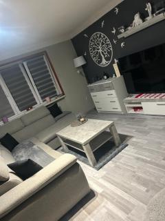 Rozvadov útulný apartmán - Tachov - 2