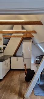 Apartment at Havegaard, beautiful old farm surrounded by beautiful nature close to the coast - 7