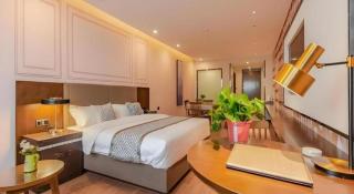 GME Hefei Qianshan North Road Phoenix City Hotel - Hefei - 4