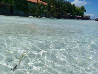 Magic's Place Beach Resort - 8