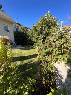 Albergue1062 - 1