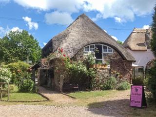 Granary Cottage - Torquay - 3