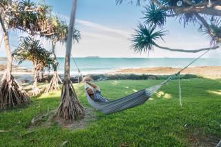 The Cove - 1