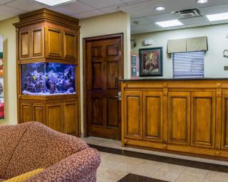 Quality Inn Airport - Cruise Port - Tampa - 5