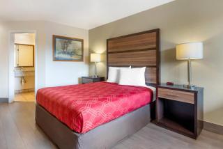 Rodeway Inn Albany - Albany - 2