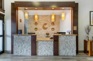 Comfort Inn & Suites Houston FM1960 - Champions - 7