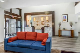 Comfort Inn & Suites Houston FM1960 - Champions - 6