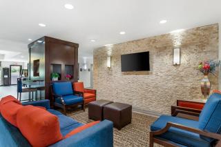 Comfort Inn & Suites Houston FM1960 - Champions - 5
