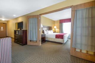 Comfort Suites Wisconsin Dells Area - 4