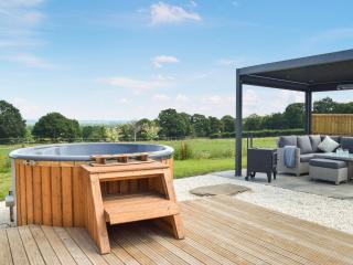 Barn Owl Lodge - Uk49903 - Appley Bridge - 9