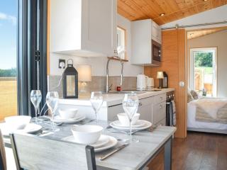 Barn Owl Lodge - Uk49903 - Appley Bridge - 6