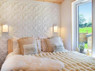Barn Owl Lodge - Uk49903 - Appley Bridge - 3