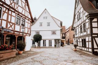 Schmuckers Ferienstube - Michelstadt - 9