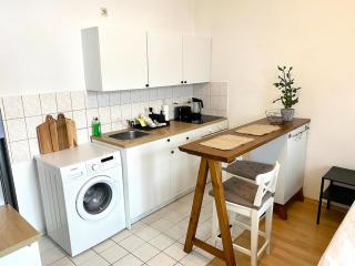 Modern, large 1-R apartment in a central location - 1