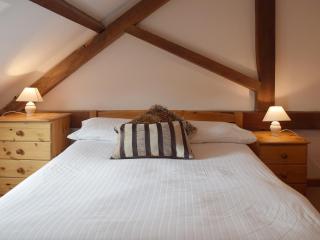 Coriander - E4323 - Ludham - 5