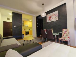 Djurdja apartment, free parking - Novi Sad - 0