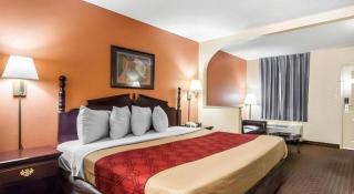 Econo Lodge Inn & Suites I-20, exit 73 - Tuscaloosa - 9
