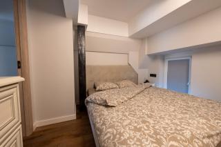 Charlotte loft - Vilnius - 3