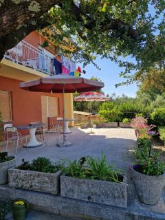APP_garden_1 - 1