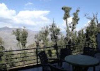 Pacific Inn Mussoorie - Mussoorie - 9