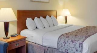 Rodeway Inn - Greenville - 2