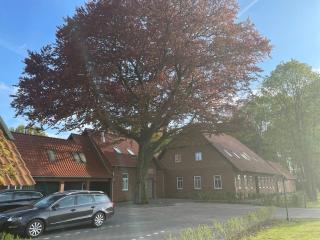 Meine Schule Sehlingen, Dein Hideaway für ZWEI, Land- oder Radurlaub in der Lüneburger Heide, Nordpfade, Workation mit Sauna, Ruhe & Erholung oder Niedersachsen Städte wie Hamburg, Hannover, Bremen und Verden entdecken - Kirchlinteln - 7