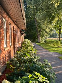 Meine Schule Sehlingen, Dein Hideaway für ZWEI, Land- oder Radurlaub in der Lüneburger Heide, Nordpfade, Workation mit Sauna, Ruhe & Erholung oder Niedersachsen Städte wie Hamburg, Hannover, Bremen und Verden entdecken - Kirchlinteln - 8