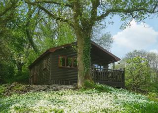 Garnffrwd Park - Llanddarog - 7