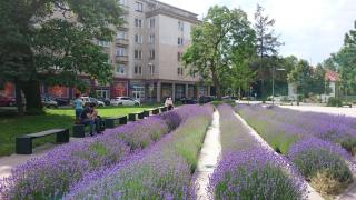 Apartments Letná, AC & garage 89m2 and 44m2 - Košice - 1